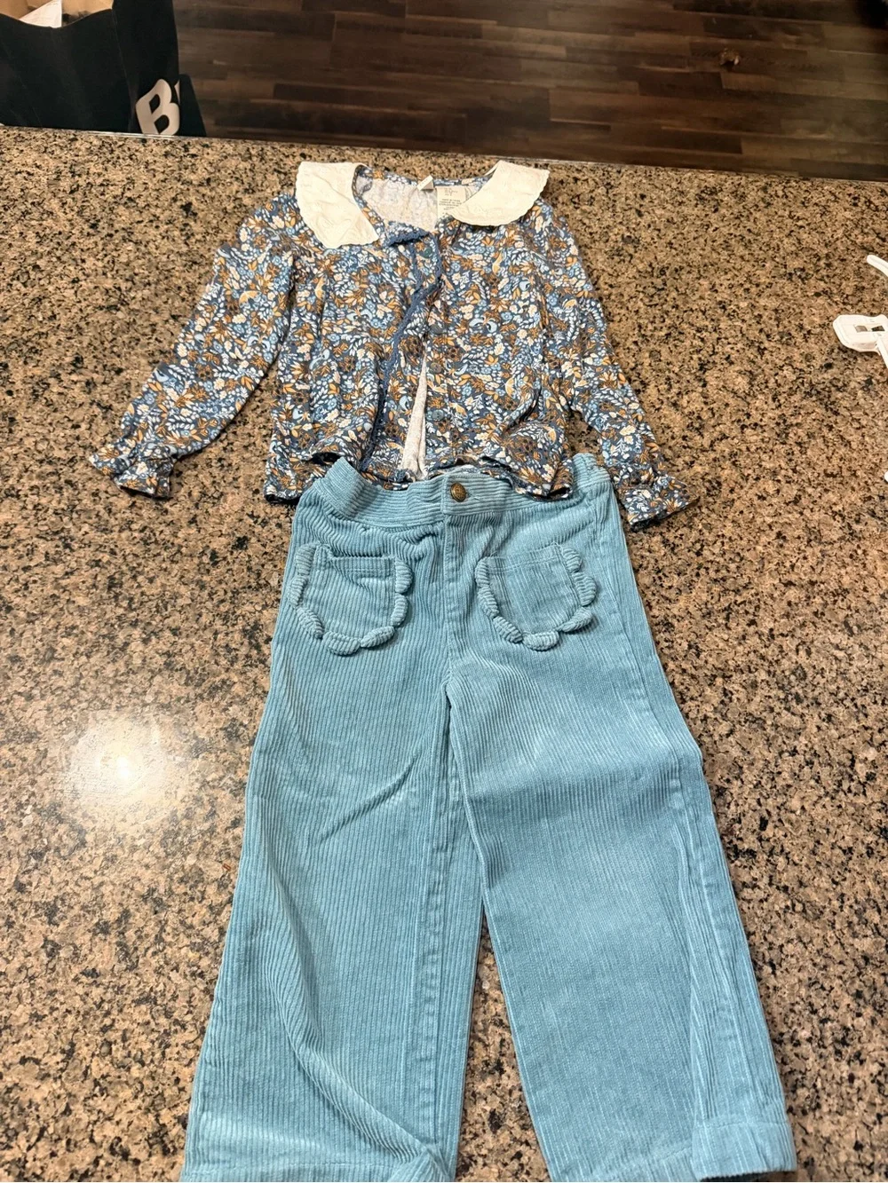 Joie Floral Top and Blue Corduroy Pants Set